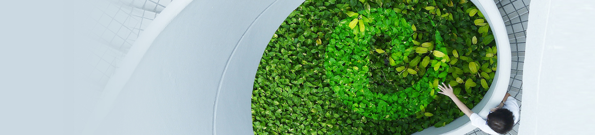 Ledong官方网站-Ledong.com